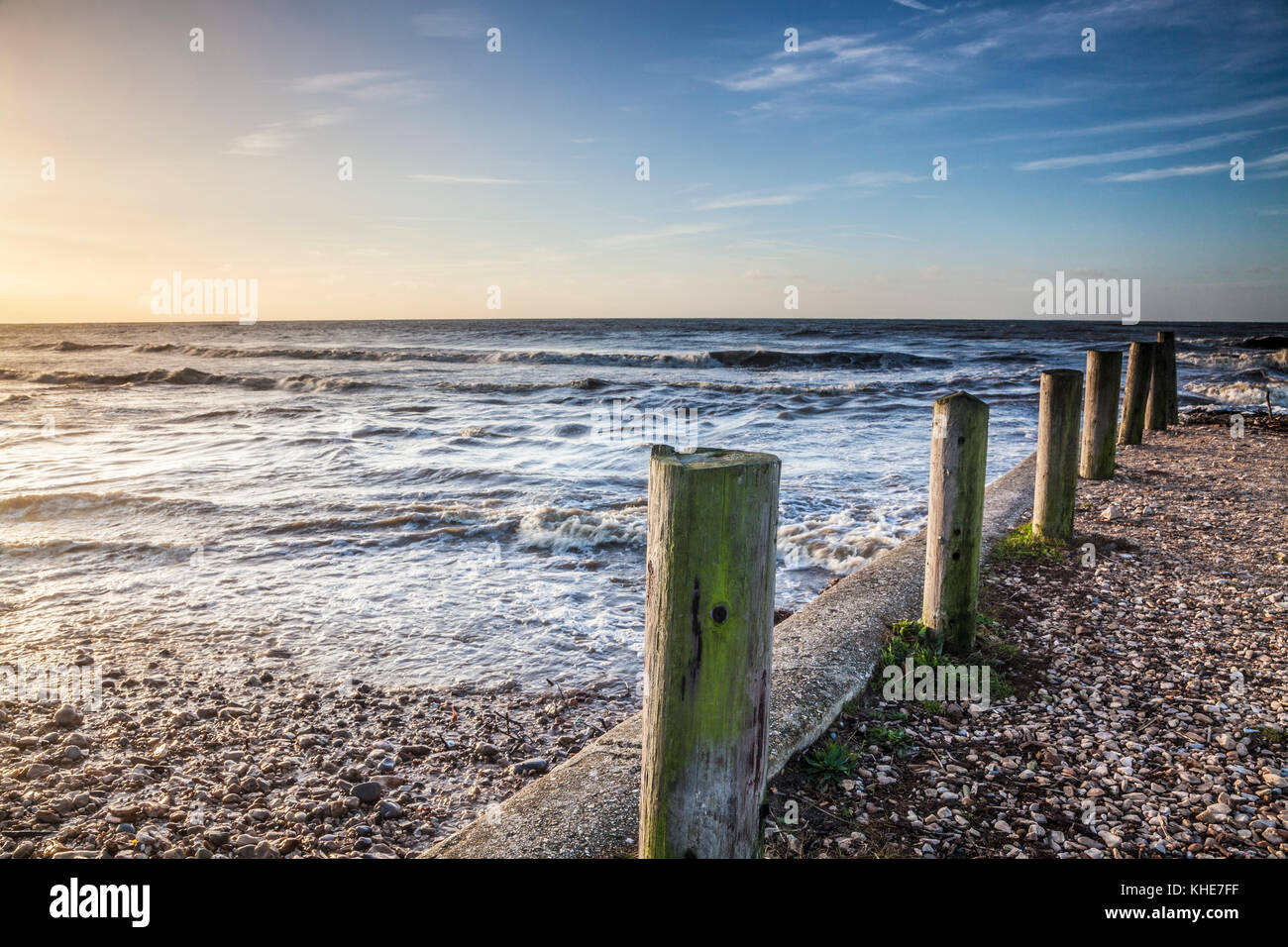 Une simple image d'épis sur la plage à Charmouth dans le Dorset. Banque D'Images