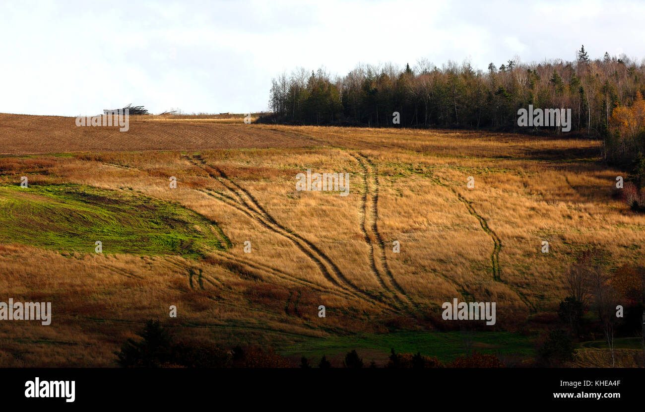 Pleins feux sur le soleil grâce au tracteur une colline domaine. Banque D'Images