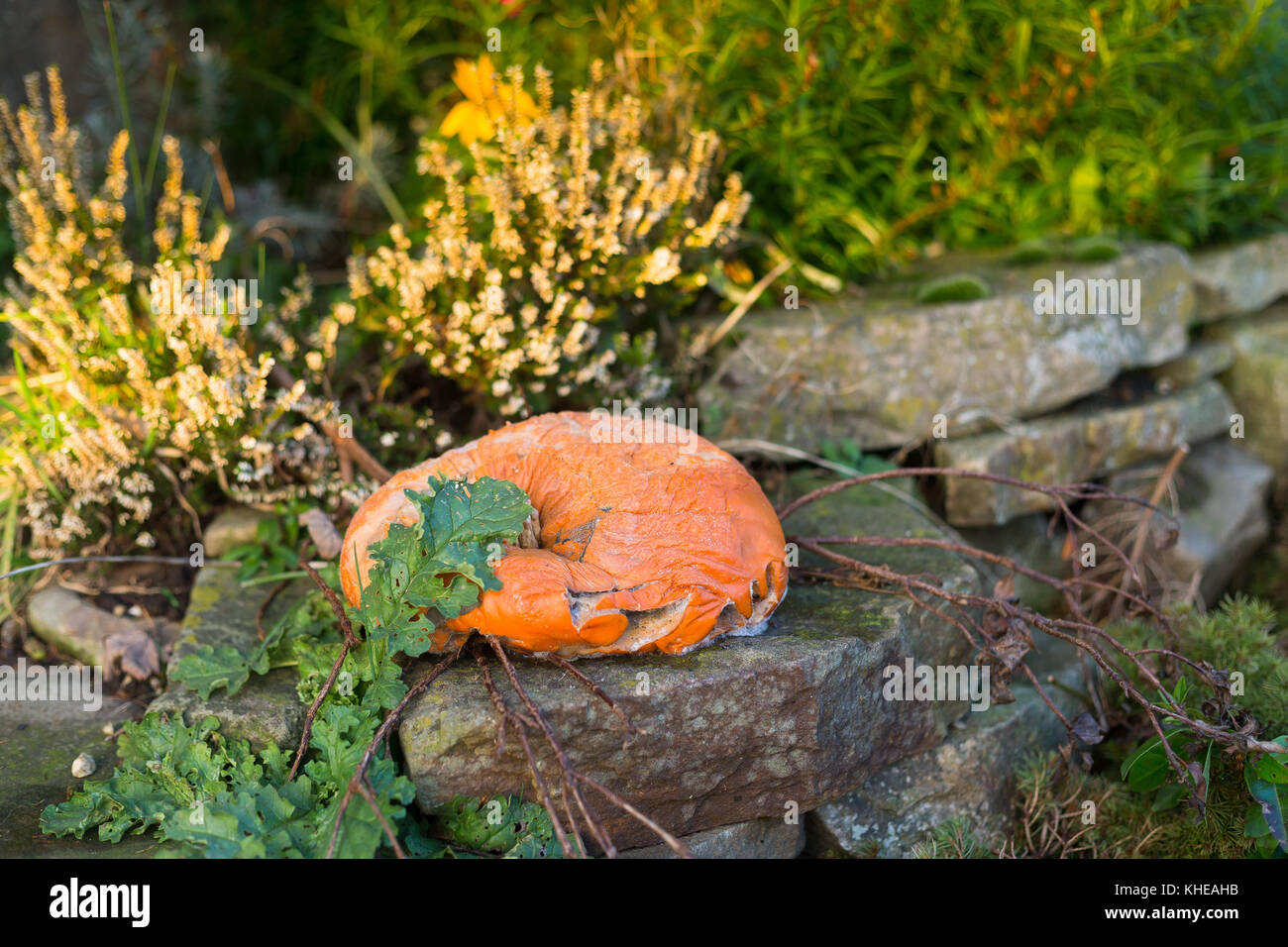Une citrouille pourrie se trouve en dehors d'une chambre à la suite de l'Halloween Banque D'Images