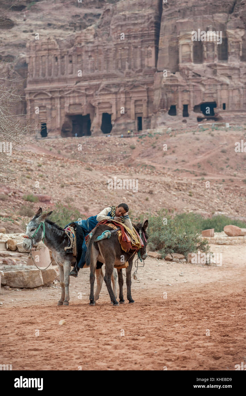 Propriétaire de l'âne s'ennuie. PETRA, Jordanie, Moyen-Orient Banque D'Images