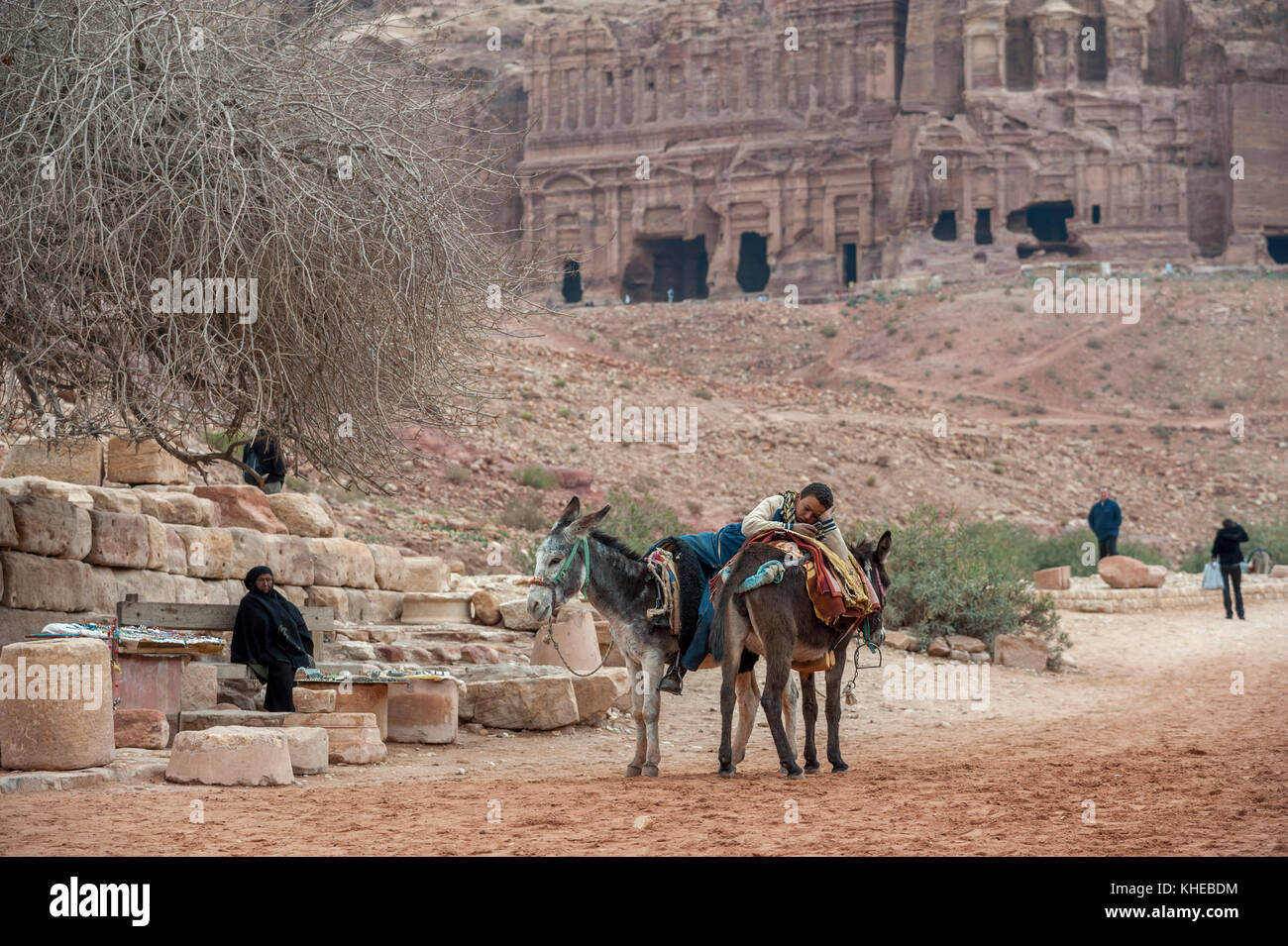 Propriétaire de l'âne s'ennuie. PETRA, Jordanie, Moyen-Orient Banque D'Images