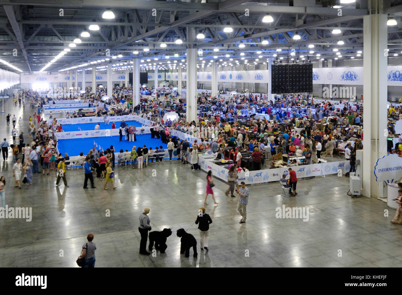 Les gens s'world dog show Banque D'Images