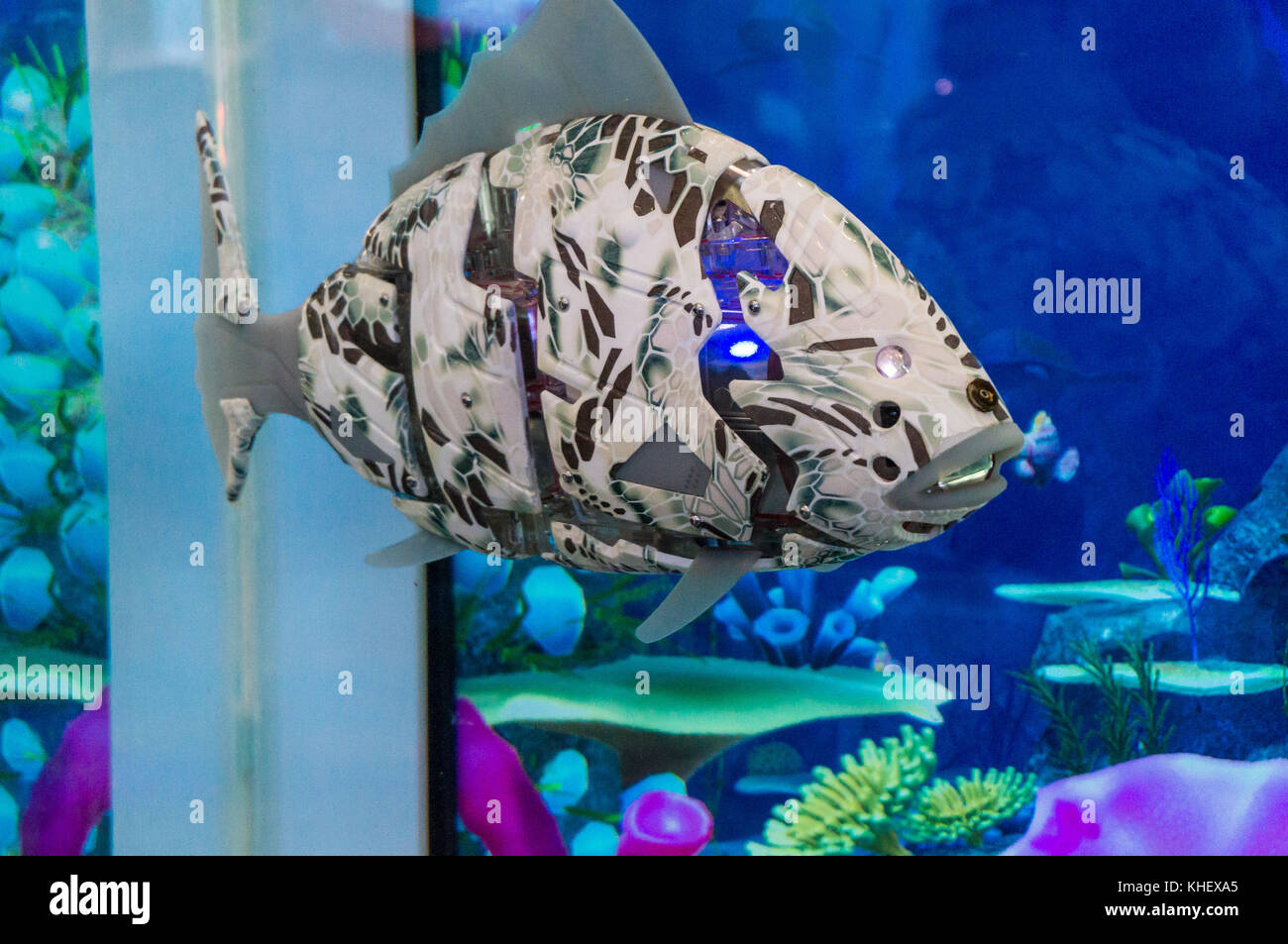 Swimming Robot Fish Banque d'image et photos - Alamy