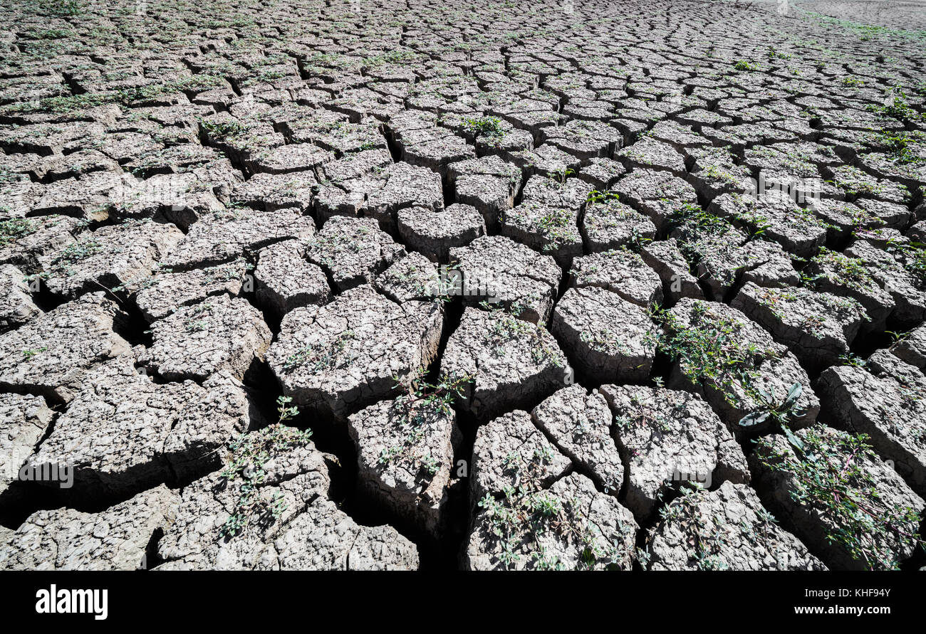 Près de ardales, la province de Malaga, Andalousie, Espagne du sud. État d'entrée de guadalteba-barrage guadalhorce en octobre 2017 après avoir été chaud sans ra Banque D'Images