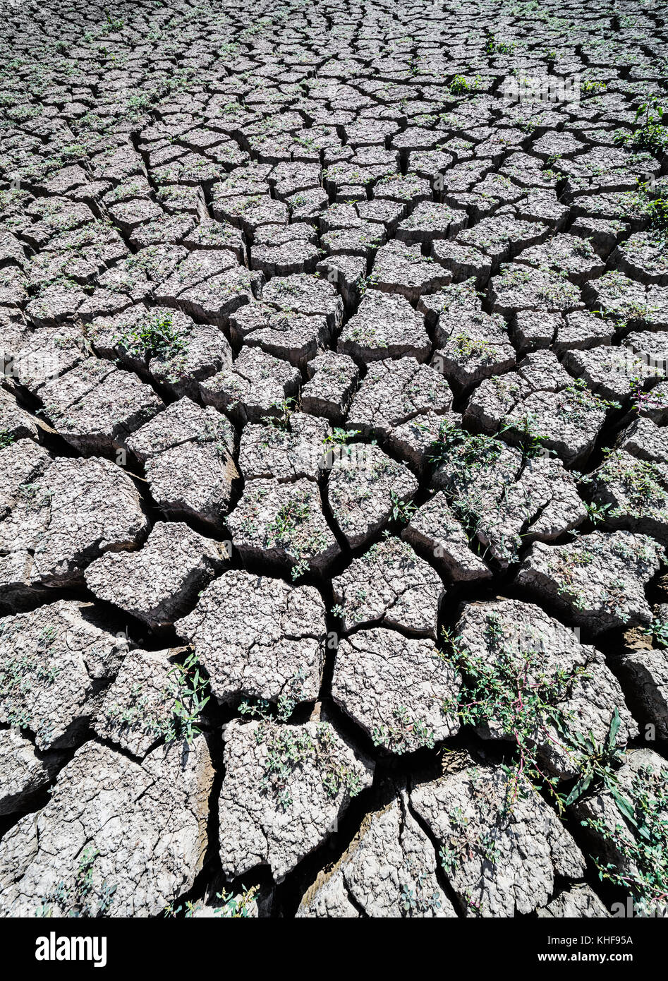 Près de ardales, la province de Malaga, Andalousie, Espagne du sud. État d'entrée de guadalteba-barrage guadalhorce en octobre 2017 après avoir été chaud sans ra Banque D'Images