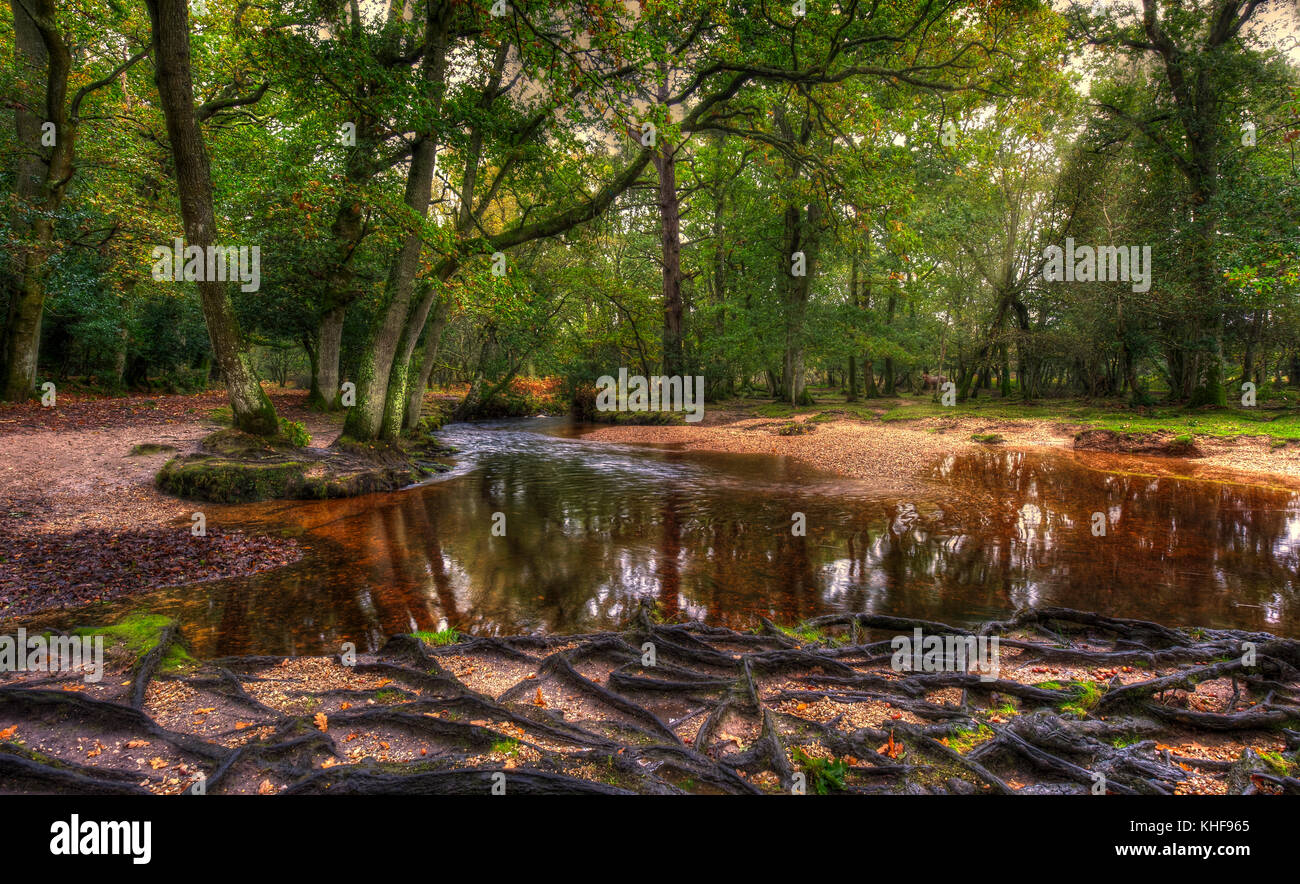 Vue paysage d'Ober de l'eau, dans la New Forest, Hampshire, Royaume-Uni. Banque D'Images