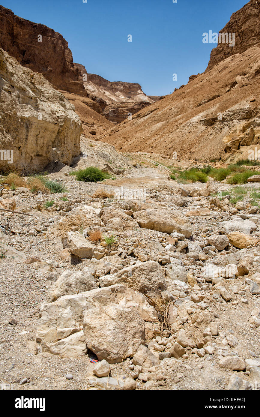 Masada en Israël Banque D'Images