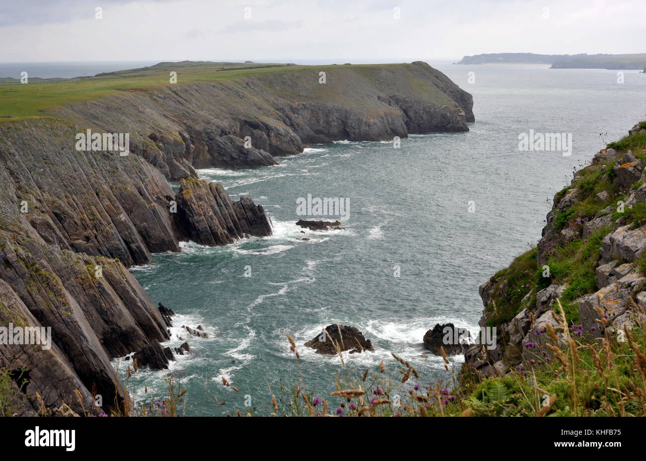 Littoral du Pembrokeshire, robuste et du sentier côtier près de tenby, regardant vers l'île de caldey, une île sacrée au large de la côte du Pays de Galles, Royaume-Uni. Banque D'Images