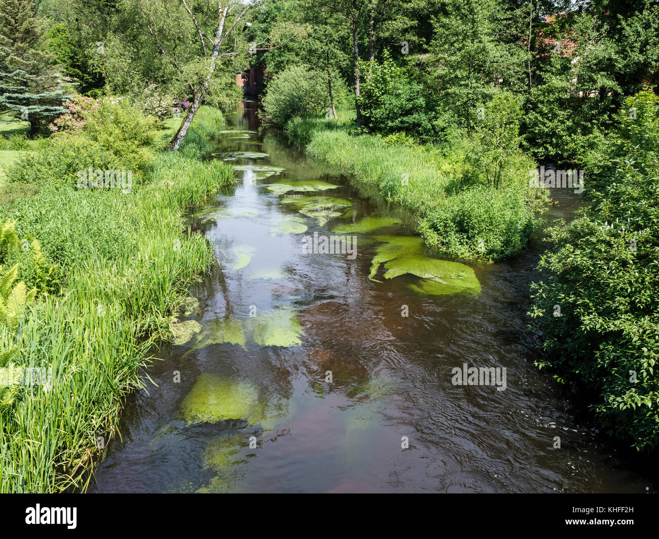 River Oertze, canal de l'ancienne usine de sciage, village Mueden, Allemagne Banque D'Images