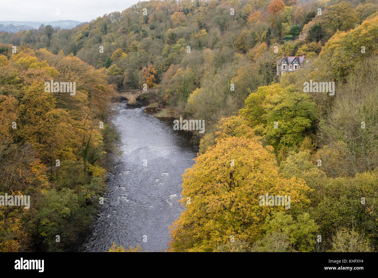 L'automne sur la rivière Dee près de Llangollen du pont-canal de Pontcysyllte sur le sentier du canal de Llangollen, Trevor, au nord du Pays de Galles, Royaume-Uni Banque D'Images