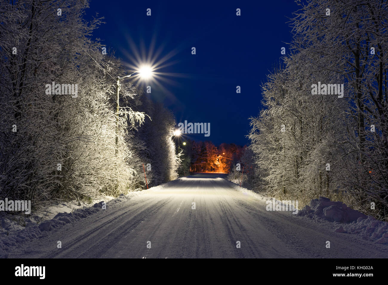 Petite route d'hiver dans le Finnmark Alta, Norvège. Les arbres couverts de neige. Banque D'Images