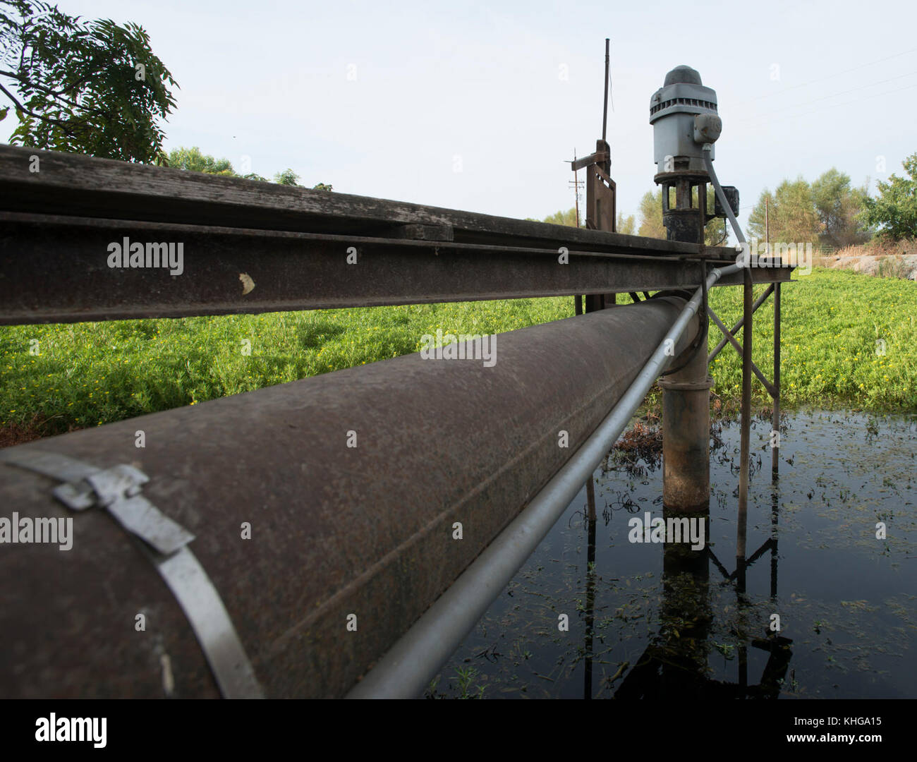 Cette pompe à eau de surface de Gilsizer Slough ne peut pas être utilisée cette année en raison des conditions de sécheresse critiques à Yuba City, CA, vendredi 28 août 2015. La pompe purait normalement de l'eau dans le goulinet pour l'irrigation agricole, mais de moins en moins d'eau a été prélevée au cours des quatre dernières années. Maintenant, aucune eau ne peut être tirée. Un puits (à proximité) a été foré pour prélever l'eau souterraine de l'aquifère en dessous. Le débit d'eau est acheminé vers ce champ et d'autres champs par des tuyaux souterrains, des vannes de régulation et des canaux de surface. D'autres champs qui utilisent le Gilsizer Slough ont été aidés par le département d'A des États-Unis Banque D'Images