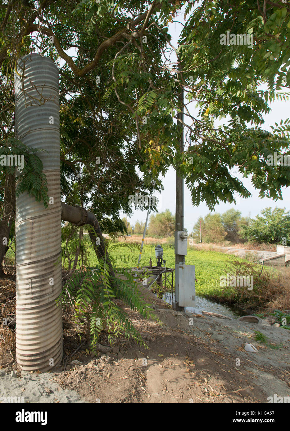 Ministère de l'Agriculture des États-Unis (USDA) Natural Resources conservation Service (NRCS) Gilsizer Slough Project, près de South Township Rd, Yuba City, CA, le vendredi 28 août 2015. Le projet comprend l'installation de 40 systèmes d'irrigation à haut rendement (50 % d'économie d'eau) et de 40 cultures de couverture végétative et bandes de filtration, ainsi que l'adoption de pratiques de gestion des nutriments et des ravageurs par 40 producteurs. Le champ a des bermes qui contiennent ce verger de prunier (non lié aux projets de l'USDA) qui utilise normalement l'irrigation d'inondation pour couvrir le sol avec l'eau de surface pompée (au centre) de la ferme adjacente de Gilsizer. Banque D'Images