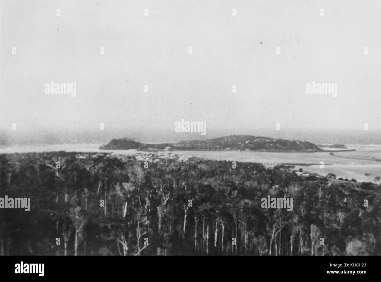 1290583 Vue panoramique de Greenmount et Point Danger, Tweed Heads, 1902 Banque D'Images