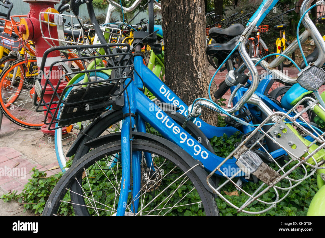 Bluegogo opérateur chinois de vélos en libre-service dans la région de Shenzhen, Chine Banque D'Images