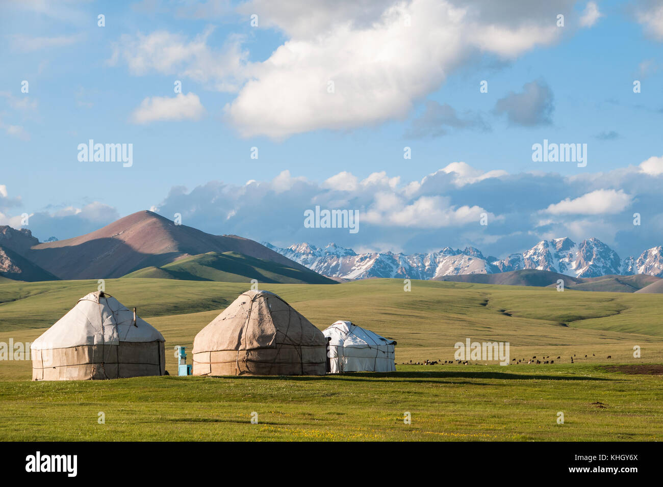 Les yourtes, sur fond de montagnes dans la région du lac Song Kol en Kirghizistan Banque D'Images Les yourtes, sur fond de montagnes dans la région du lac Song Kol en Kirghizistan Banque D'Images