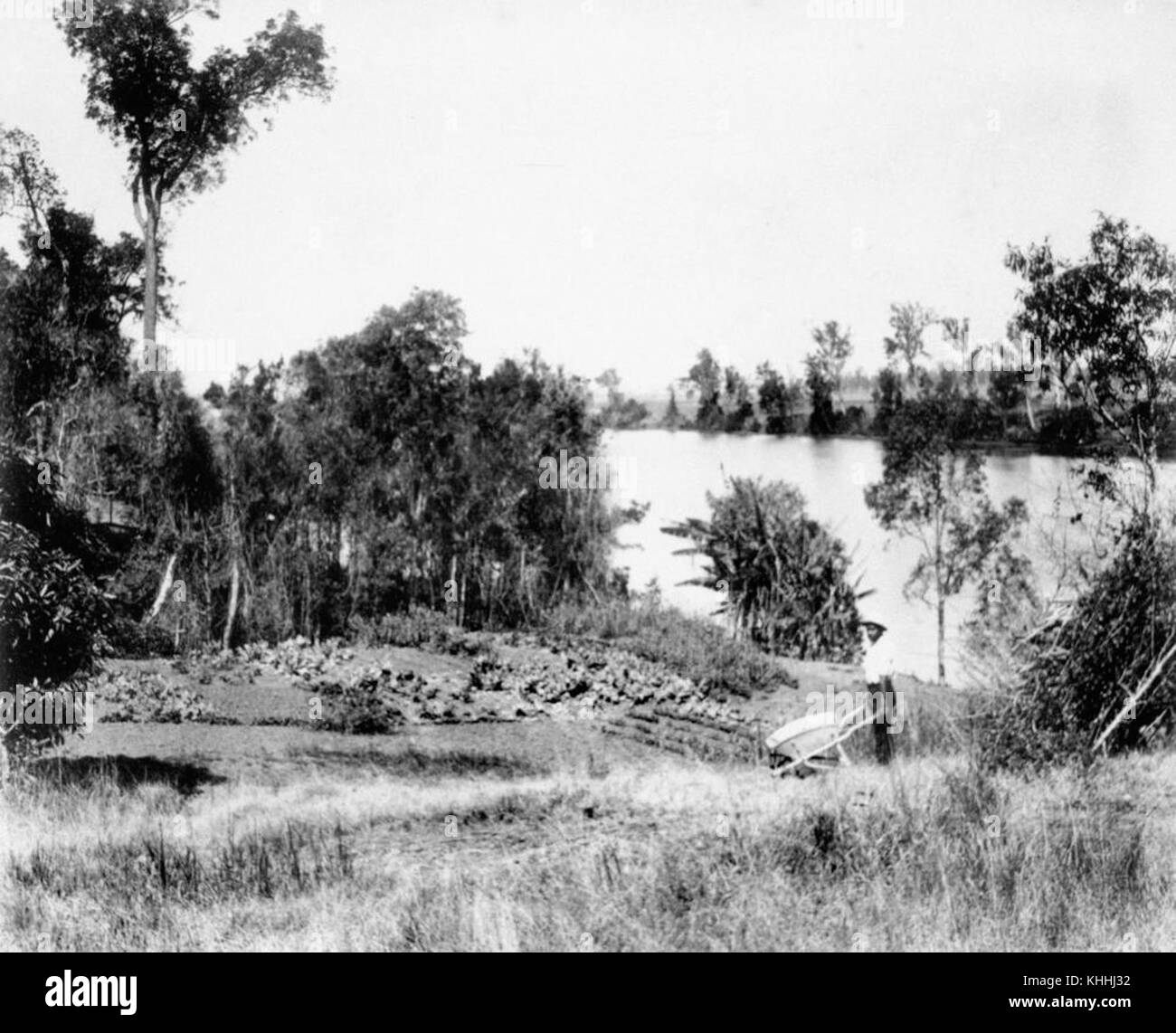 Cette image d'environ 1890 montre les activités de jardinage le long de la partie fertile de la Brisbane River, illustrant les premières pratiques agricoles et l'utilisation du paysage naturel. Banque D'Images