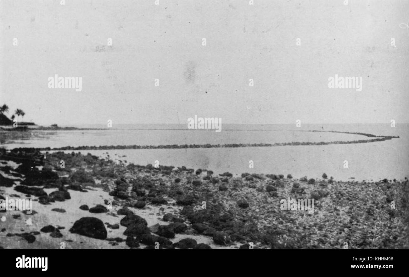 294544 piège à poisson à grande île du détroit de Torres, Darnley Banque D'Images