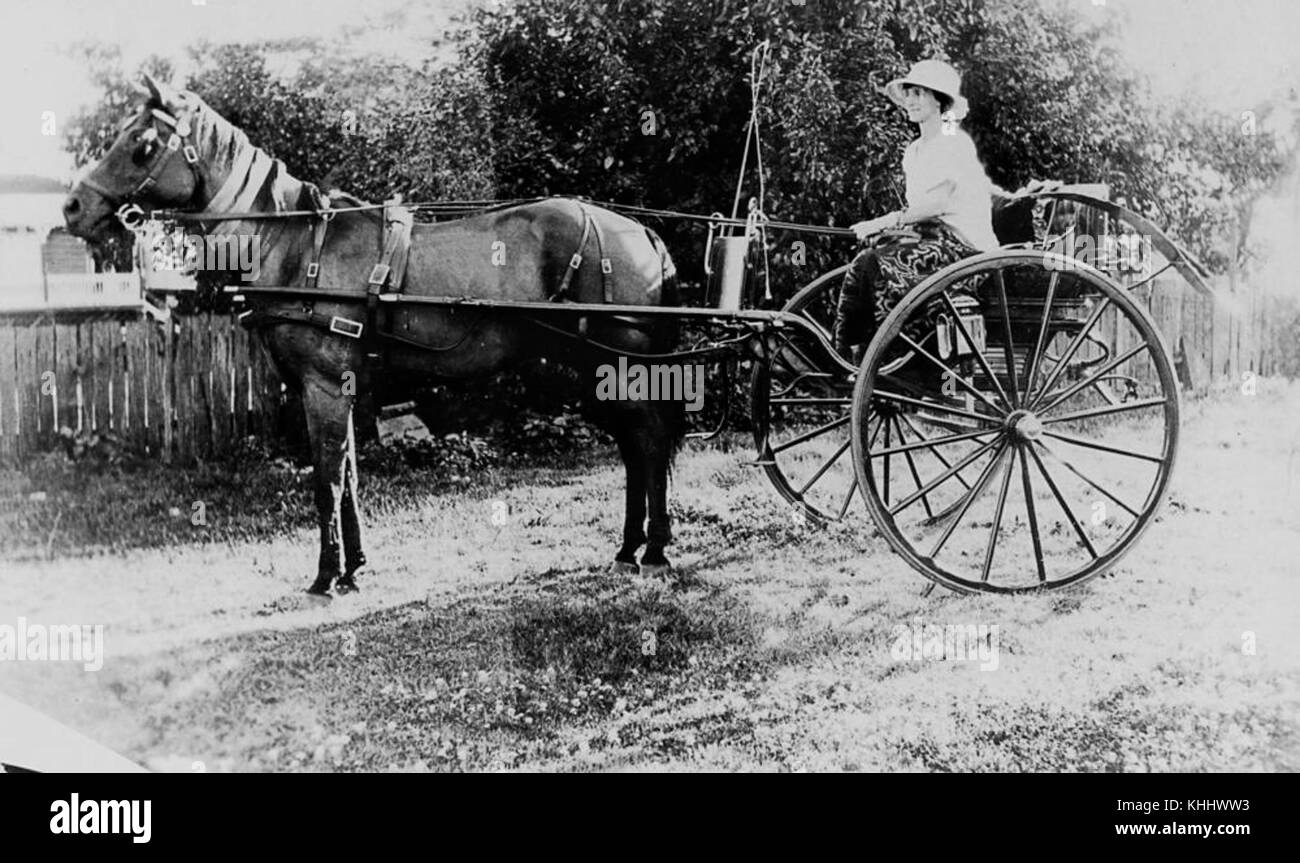 Un cheval gagnant et buggy avec chauffeur au Wynnum Show à Brisbane. L'événement met en valeur les compétences équestres compétitives et l'utilisation traditionnelle de véhicules tirés par des chevaux dans les salons agricoles de la région. Banque D'Images