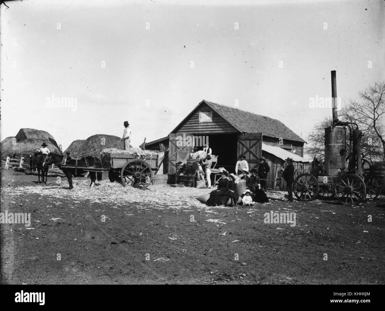 Cette image représente une petite usine de battage de 1890 à 1900, un élément clé de la machinerie agricole utilisée pour le battage des cultures, essentiel aux opérations agricoles de la fin du XIXe siècle. Banque D'Images
