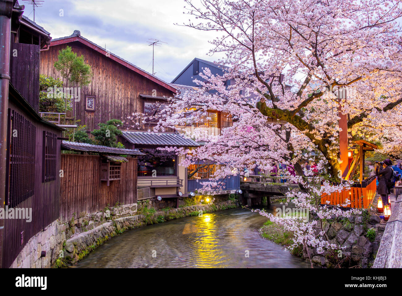 Vue de nuit sur la rivière shirakawa dans quartier de Gion avec cherry blossom Banque D'Images