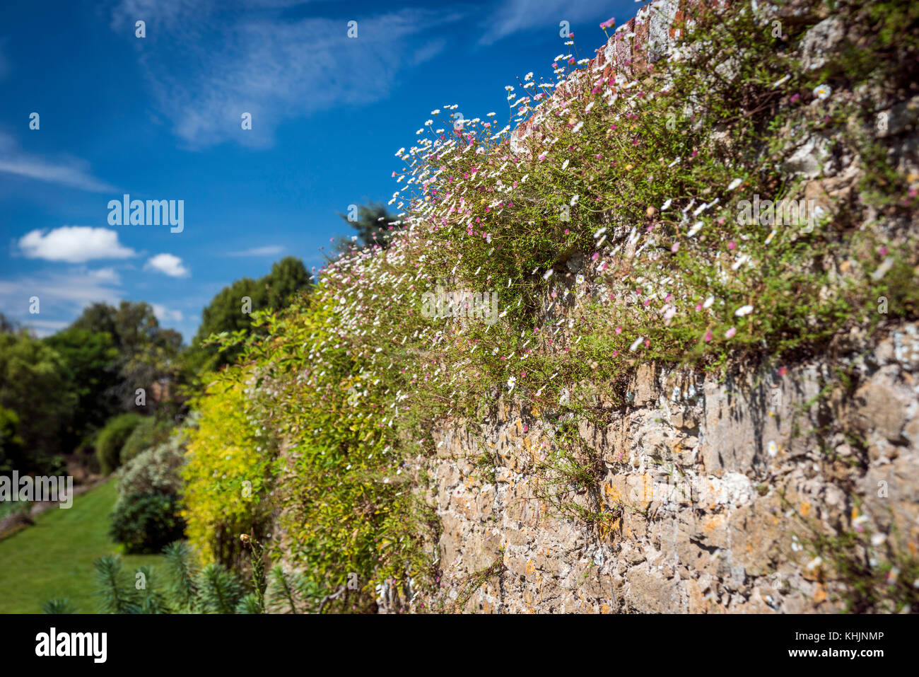 Loseley Park Gardens, Artington, Surrey, UK Banque D'Images