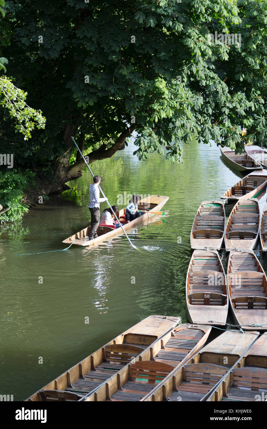 UK, Oxford, en barque sur la rivière Cherwell. Banque D'Images