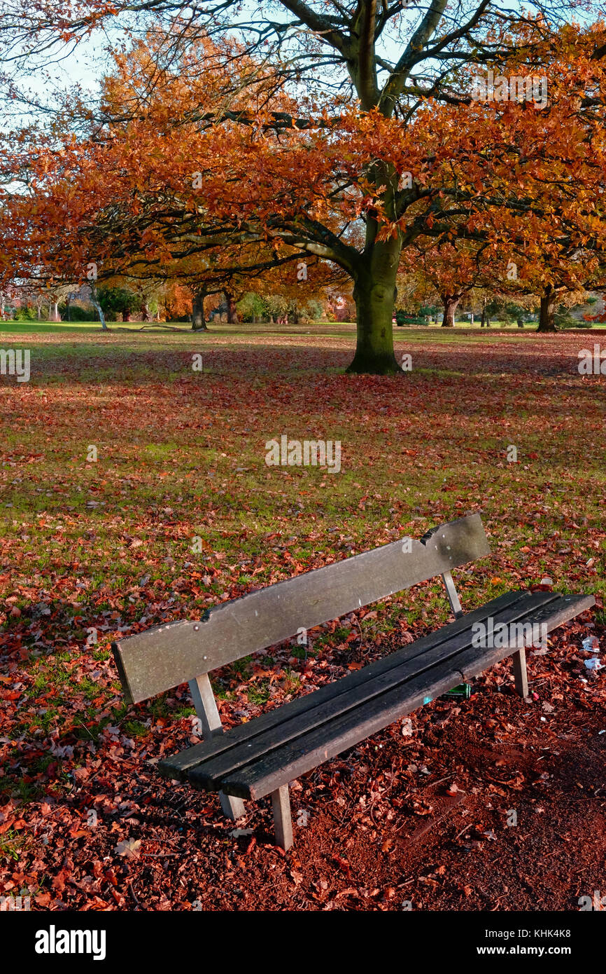 Une scène de la saison froide de l'automne à la chute des feuilles marron dans un parc à Harrow, Londres Banque D'Images