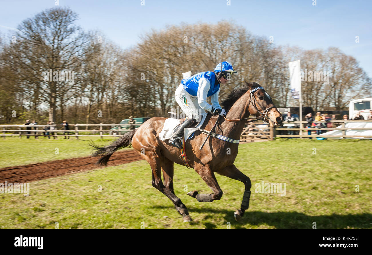 Point à point horseheath Banque D'Images