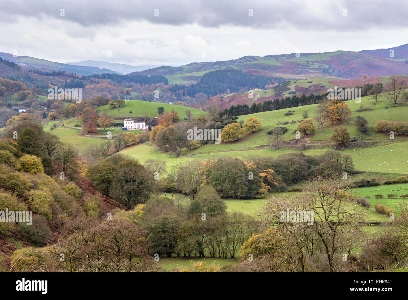 La vallée de Llangollen près de Llangollen, Denbighshire, Nord du Pays de Galles, Royaume-Uni Banque D'Images