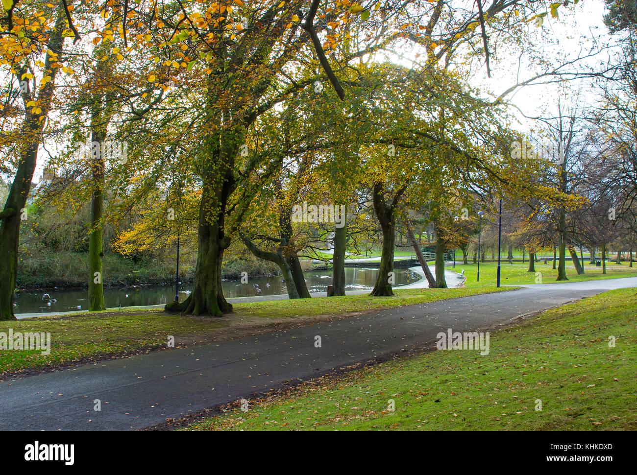 La petite rivière bordée d'arbres qui s'écoule à travers Ward Park à Bangor comté de Down en Irlande du Nord Banque D'Images