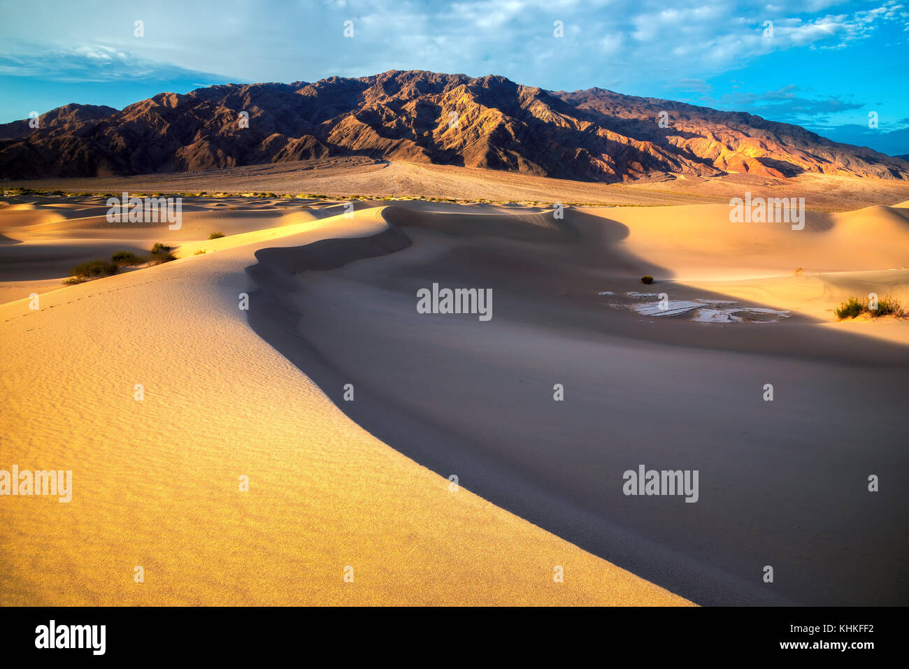 Dunes de sable dans le désert au lever du soleil Banque D'Images