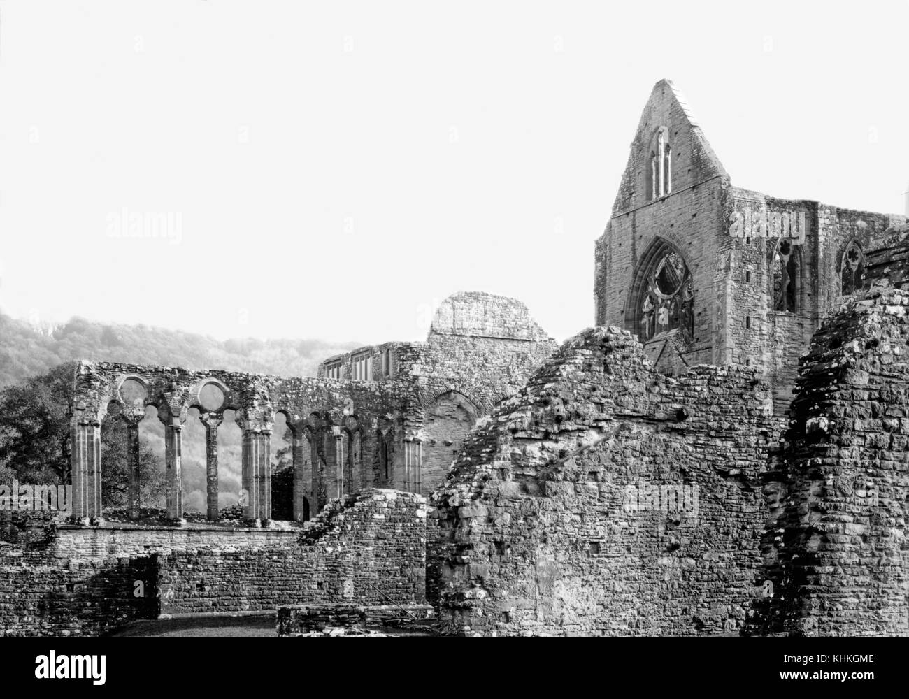 Abbaye de Tintern, abbaye Cistercienne du 12ème siècle sur les rives de la rivière Wye à Tintern, Monmouthshire, Wales UK - photographié sur un 7x 5dans l'appareil photo . Banque D'Images
