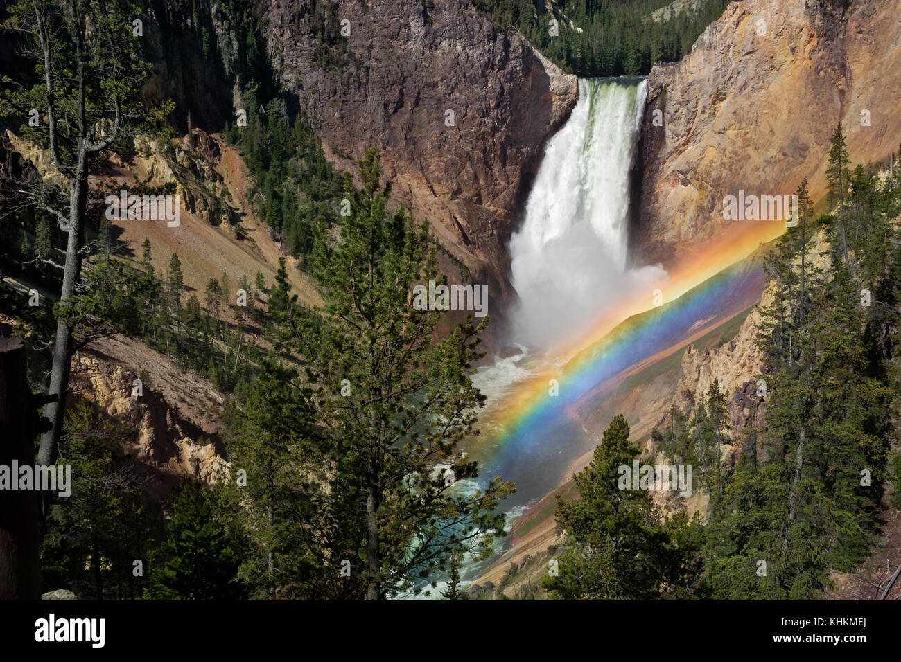 Wy02631-00...wyoming - rainbow au Lower Falls de red rock point dans le grand canyon du Yellowstone Parc national de Yellowstone. Banque D'Images
