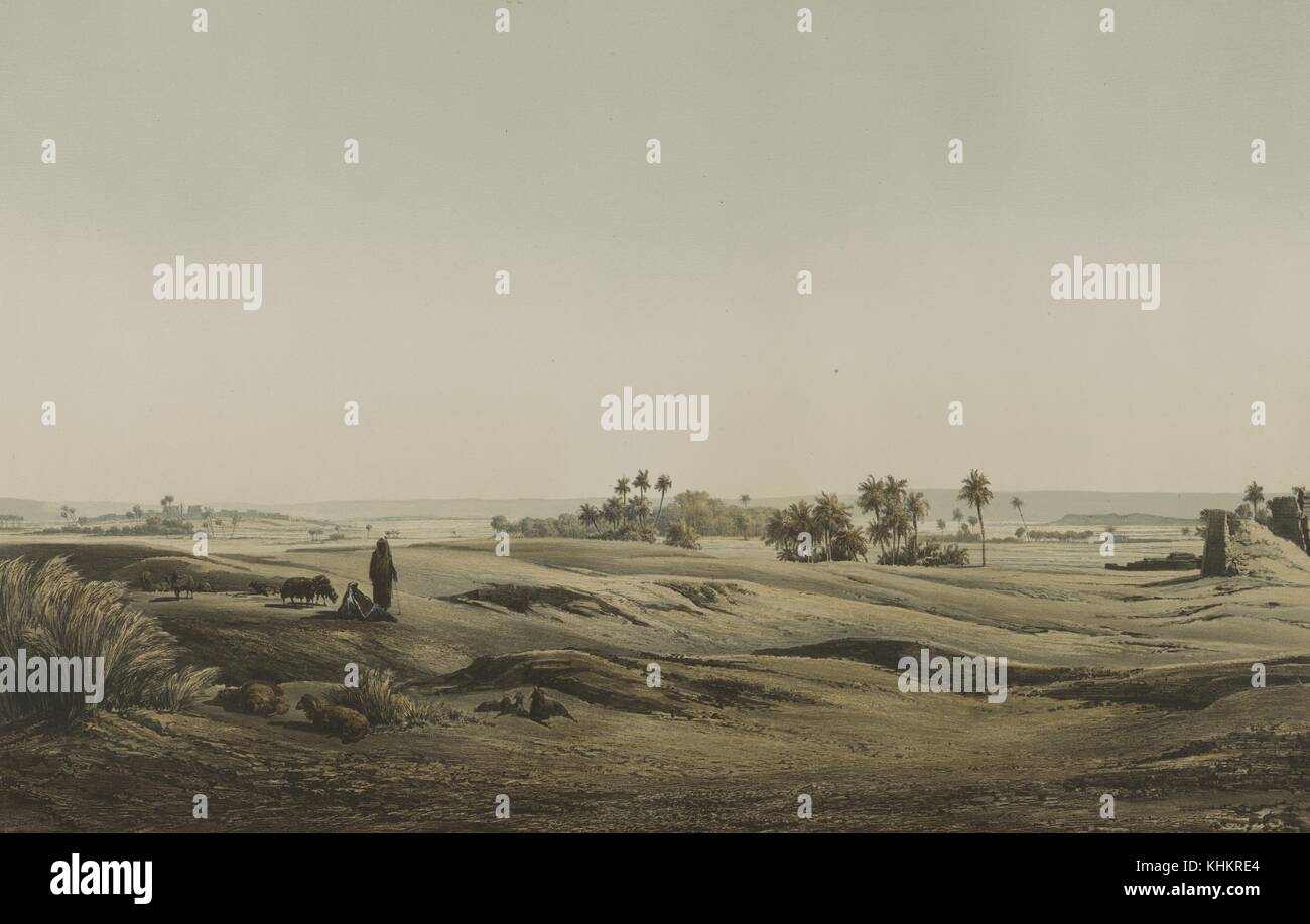 Lithographie couleur représentant un panorama du désert avec un berger et plusieurs moutons, des palmiers dans l'arrière-plan, intitulé Ansicht der Ruinen des ostlichen, Theben Blatt a, par W Loeillot, Egypte, 1852. À partir de la Bibliothèque publique de New York. Banque D'Images