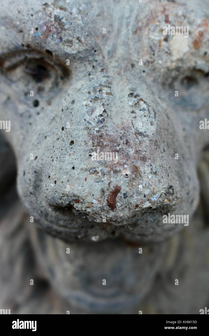 Close up of head montrant le nez, le museau et les yeux d'un lion de béton gris à la recherche comme un dragon. Banque D'Images
