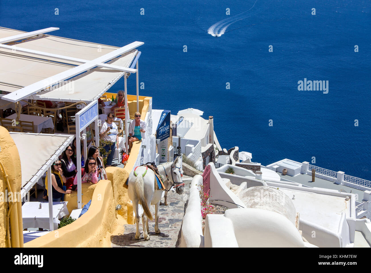 Des ânes sur le chemin vers le bas à port, passant d'une taverne grecque, Oia, Santorin, Cyclades, l'île de la mer Égée, Grèce Banque D'Images