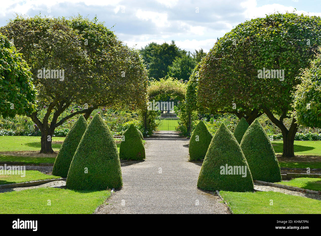 Topiaire buis taillés des buissons dans un jardin d'une maison de campagne Banque D'Images