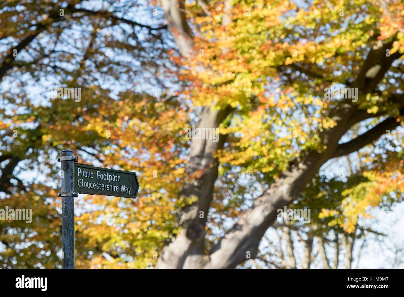 La Loire chemin sentier public signe et hêtres coloré d'automne. Cotswolds, Gloucestershire, Angleterre Banque D'Images