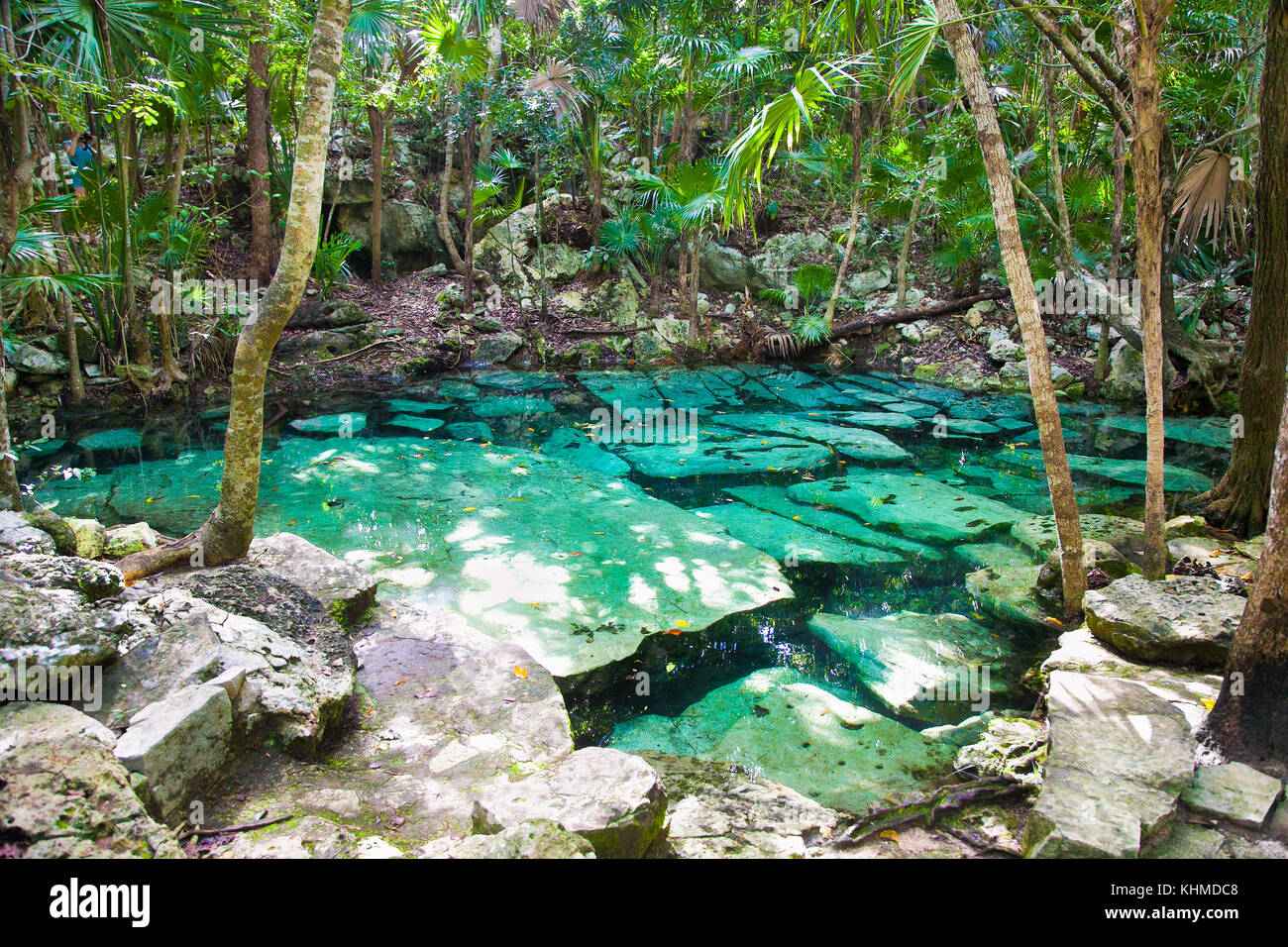 Petit lac cenote azul de jungle maya dans le Yucatan, au Mexique. Banque D'Images