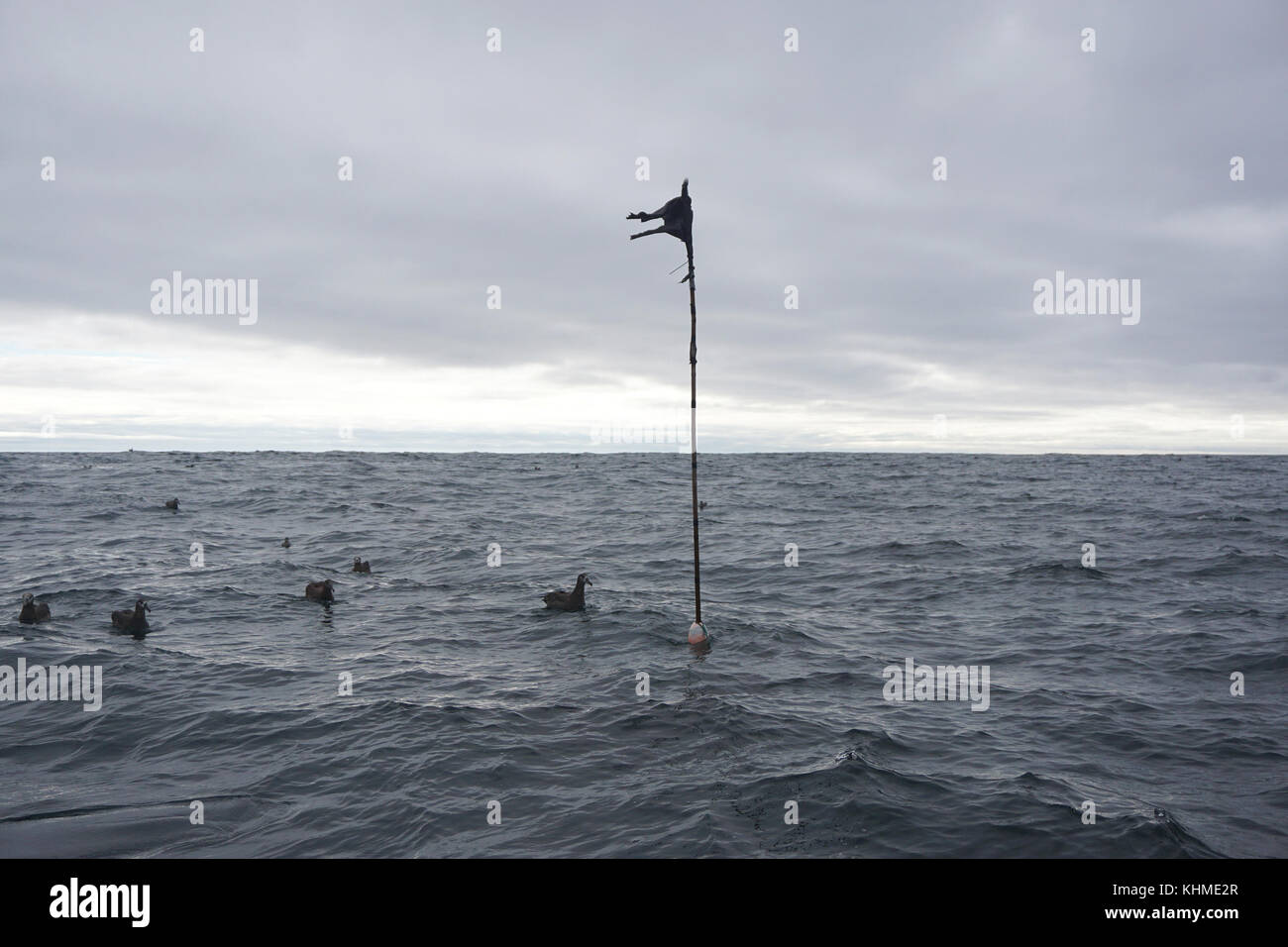 Pêche à la palangre vues - côte ouest, C.-B. Banque D'Images