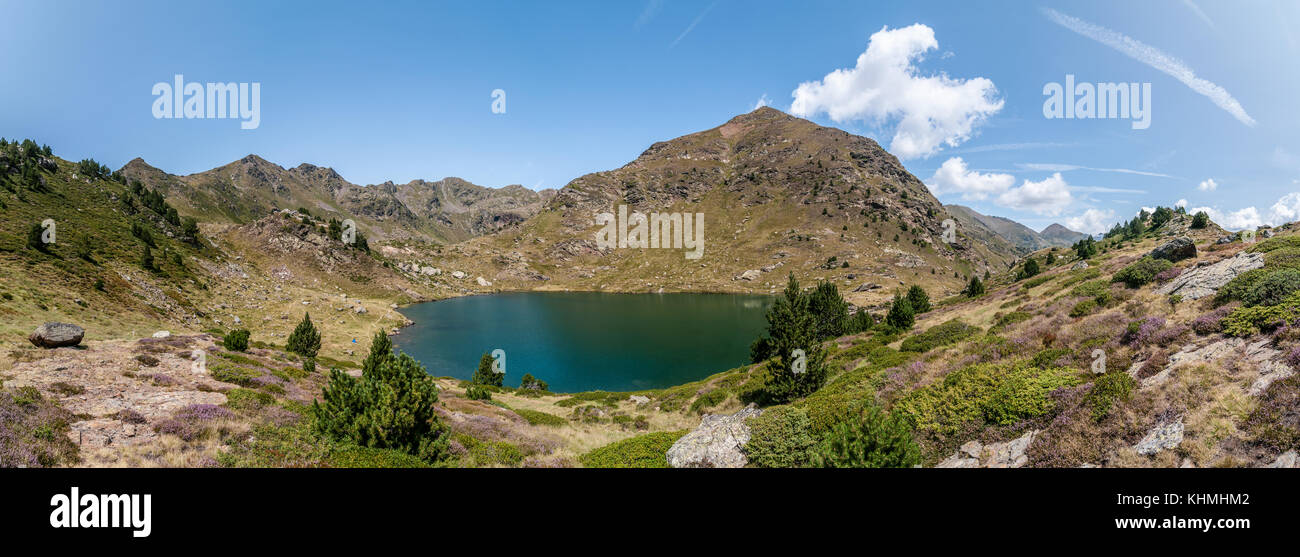 Vue panoramique sur le lac de haute montagne appelée 'Estany primer' près de Ordino avec quelques pins de montagne, Andorre, Tristaina Banque D'Images