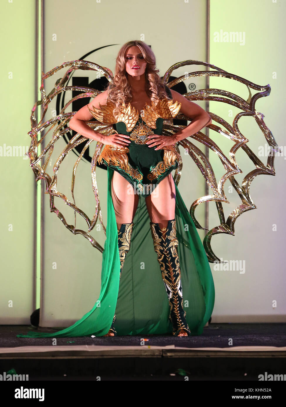 Las Vegas, Nevada, États-Unis. 18 novembre 2017. Miss Irlande, Cailin Aine ni Toibin. 66e Miss Universe Pageant National costume Show au Planet Hollywood Resort Hotel and Casino crédit photo : MJT/AdMedia crédit : MJT/AdMedia/ZUMA Wire/Alamy Live News Banque D'Images