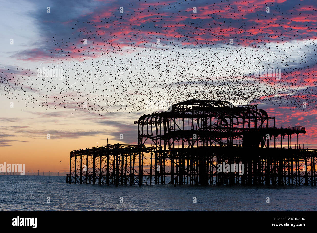 Brighton, UK. Murmurations Starling au coucher du soleil sur l'abandon de Brighton West Pier. Banque D'Images