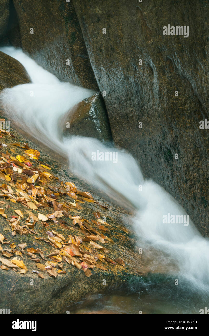 Les feuilles d'automne et de la chute d'eau, canal sur canyon, Franconia Notch, White Mountains, New Hampshire Banque D'Images