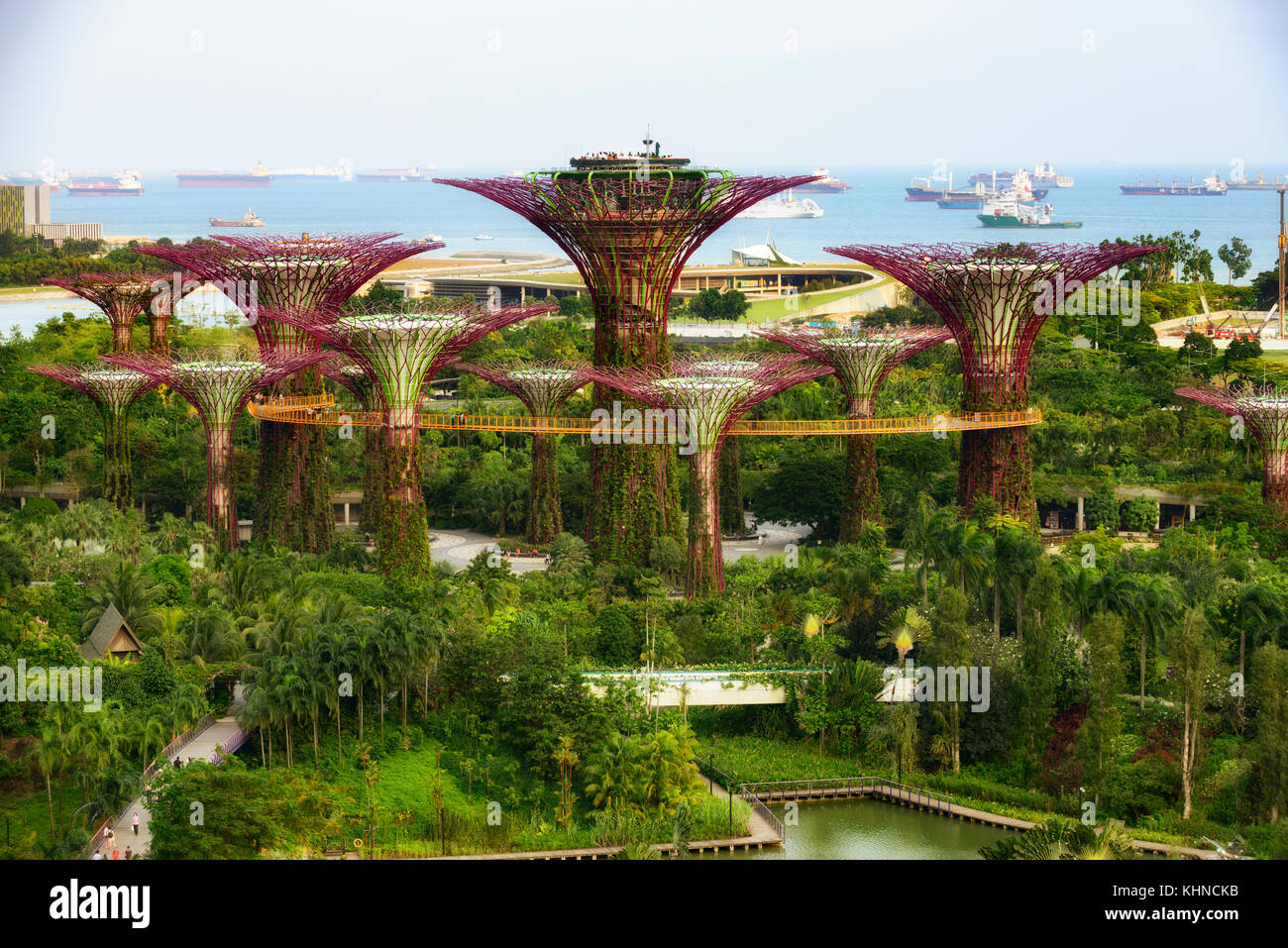 Supertree Grove, jardins de la baie, à Singapour Banque D'Images