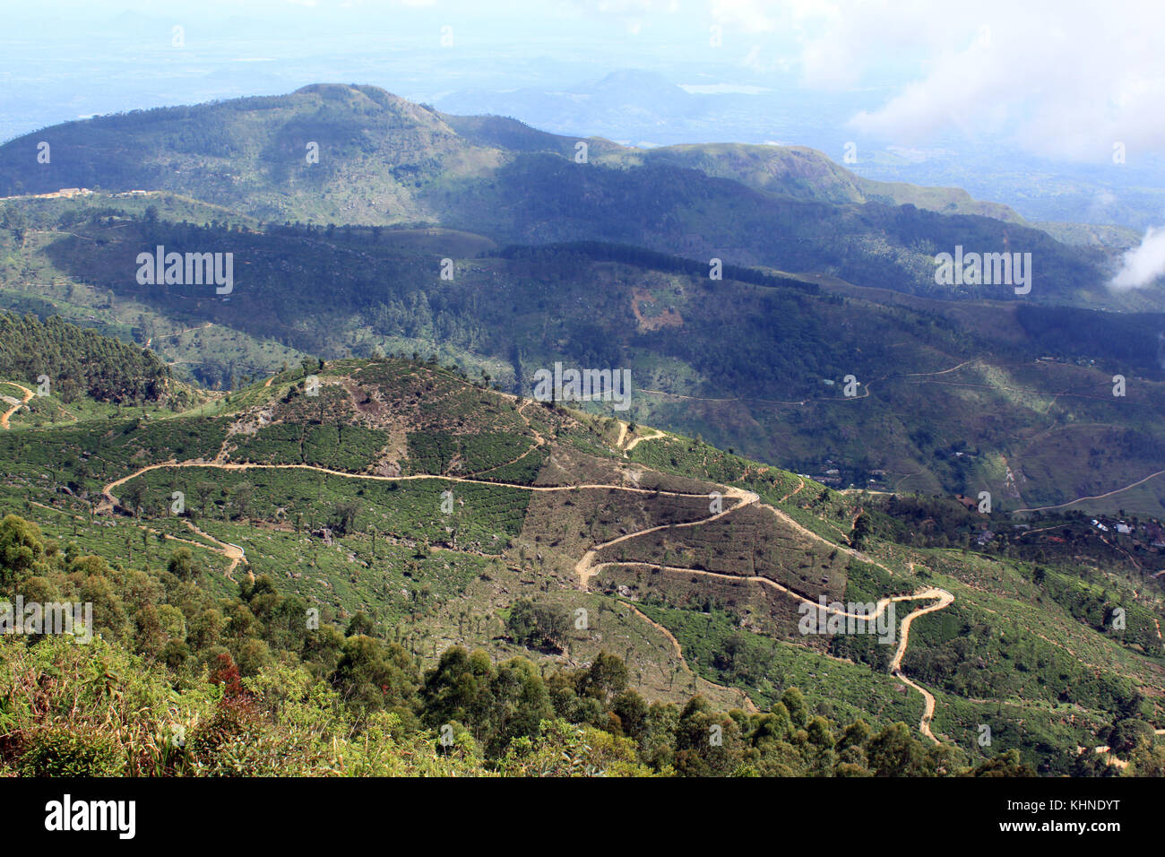 Vue depuis le mont sur les plantations de thé au Sri Lanka Banque D'Images