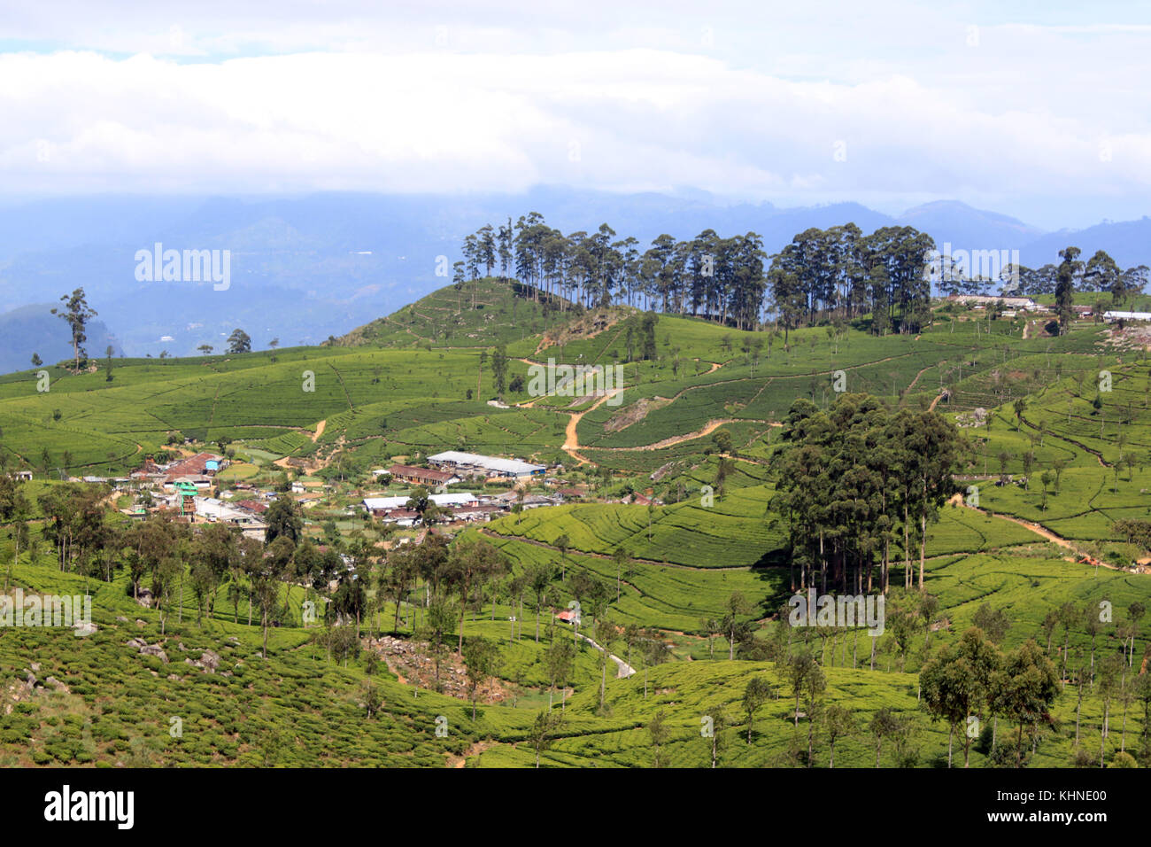 Village et les plantations de thé sur les collines au Sri Lanka Banque D'Images