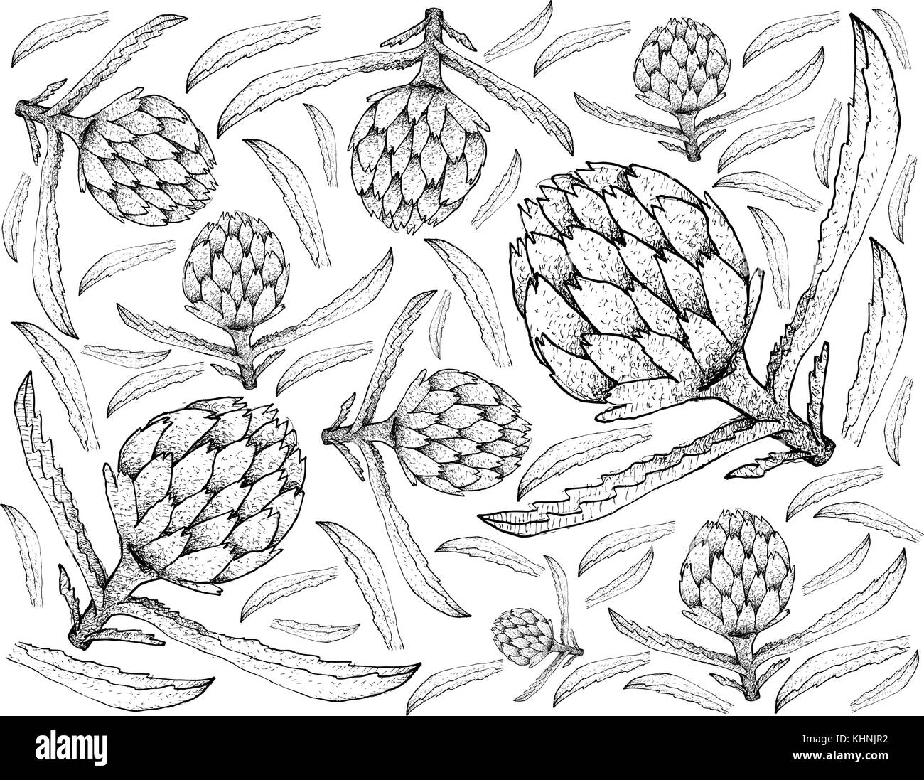 Motif de fond de légumes, illustration de croquis à main fleurs d'Artichaut frais et délicieux avec des feuilles vertes. Illustration de Vecteur