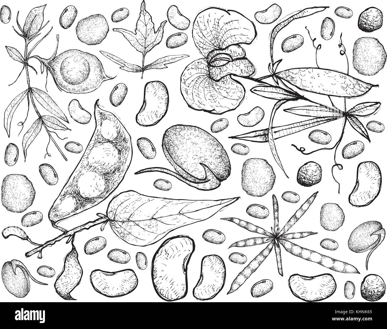 Motif de fond de légumes, illustration de croquis à main mange des légumes frais isolé sur blanc. Illustration de Vecteur